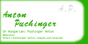 anton puchinger business card